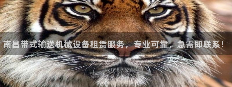 杏盛东24 35 53