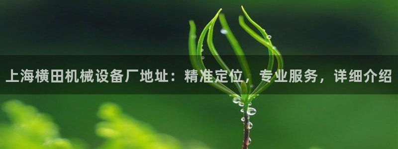 杏盛平台注册登录：上海横田机械设备厂地址