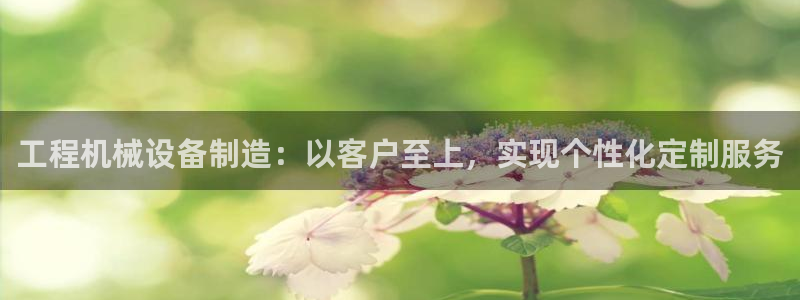 杏盛平台登陆：工程机械设备制造：以客户至上，实现个性化定制服务