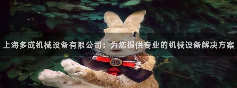 杏盛平台注册登录：上海多成机械设备有限公司：为您提供专业的机械设备解决方案