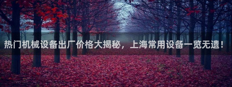 杏盛代理：热门机械设备出厂价格大揭秘，上海常用设备一览无遗！