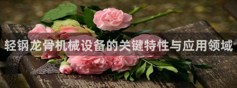 杏盛官网：轻钢龙骨机械设备的关键特性与应用领域
