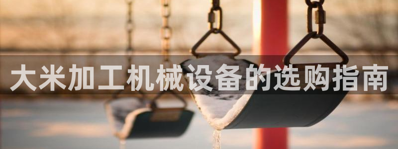 杏盛平台代理注册：大米加工机械设备的选购指南