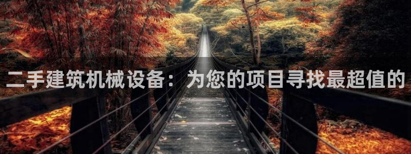 杏盛平台登录：二手建筑机械设备：为您的项目寻找最超值的