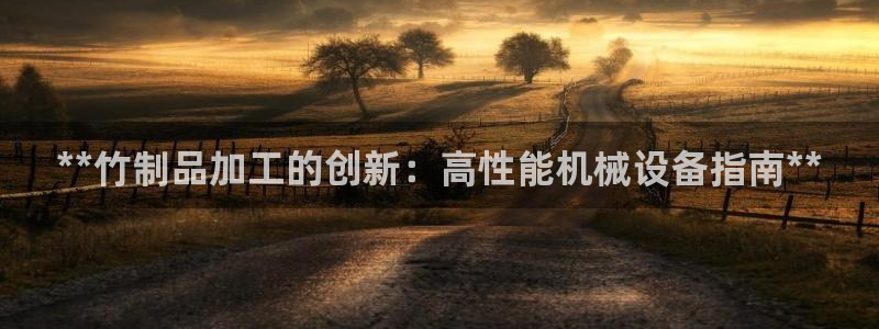 杏盛官方平台：**竹制品加工的创新：高性能机械设备指南**