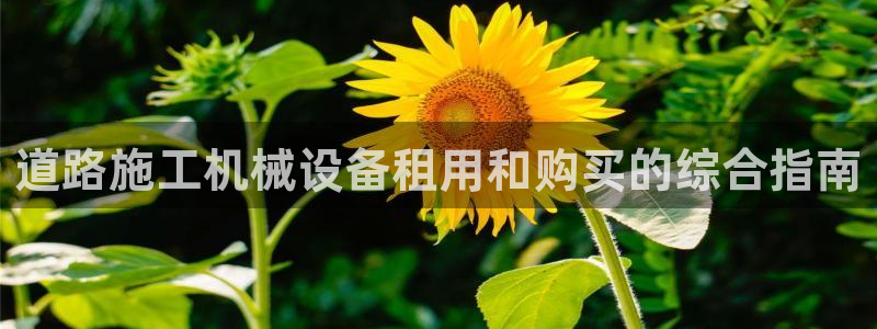 杏盛官网登录：道路施工机械设备租用和购买的综合指南