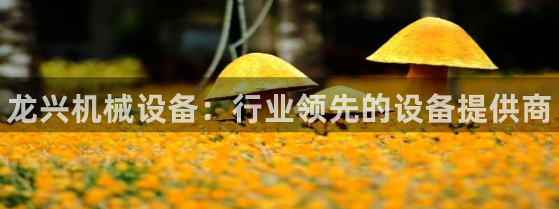 杏盛开户地址：龙兴机械设备：行业领先的设备提供商