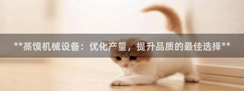 杏盛平台官网注册：**蒸馍机械设备：优化产量，提升品质的最佳选择**