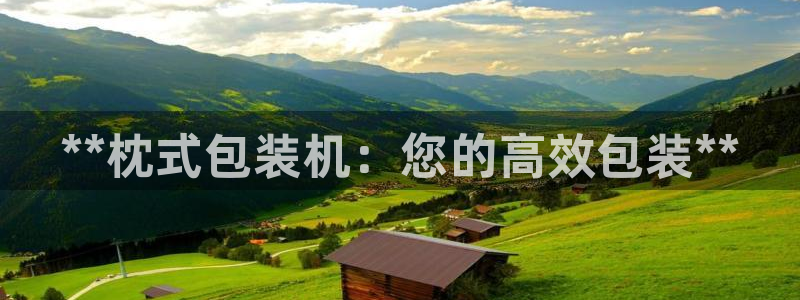 杏盛app下载：**枕式包装机：您的高效包装**