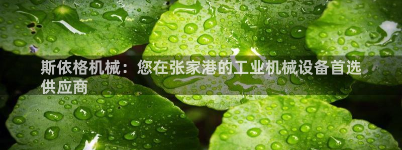 杏盛app下载：斯依格机械：您在张家港的工业机械设备首选
供应商