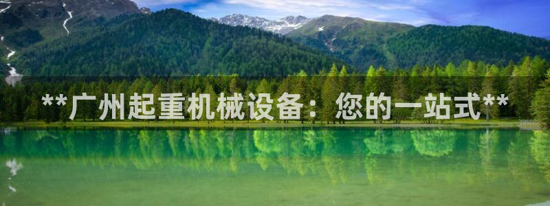杏盛平台登录：**广州起重机械设备：您的一站式**