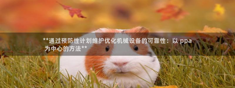 杏盛平台登录地址：**通过预防性计划维护优化机械设备的可靠性：以 ppa
 为中