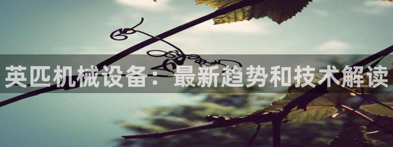 杏盛娱乐代理：英匹机械设备：最新趋势和技术解读
