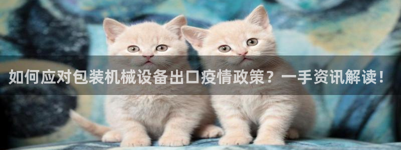 杏盛注册登录：如何应对包装机械设备出口疫情政策？一手资讯解读！