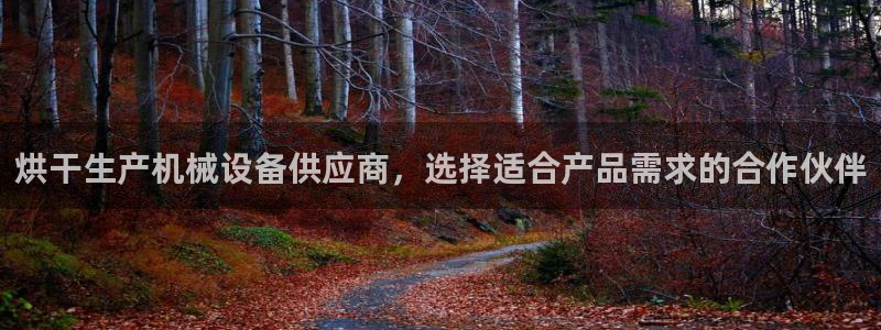 杏盛平台代理：烘干生产机械设备供应商，选择适合产品需求的合作伙伴