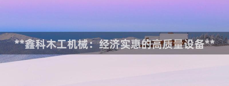 杏盛app下载：**鑫科木工机械：经济实惠的高质量设备**