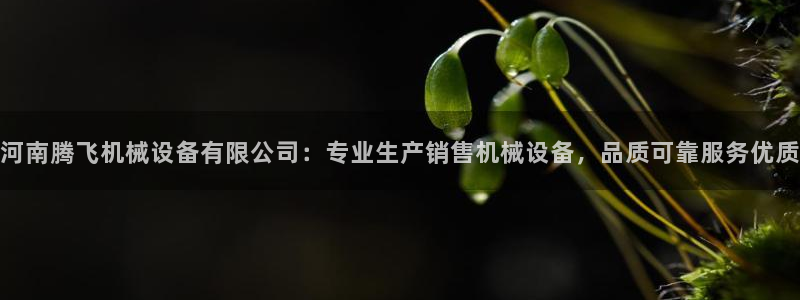 杏盛平台登陆：河南腾飞机械设备有限公司：专业生产销售机械设备，品质可靠服务优质