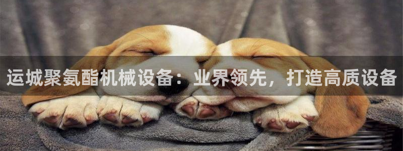 杏盛东24 35 53：运城聚氨酯机械设备：业界领先，打造高质设备