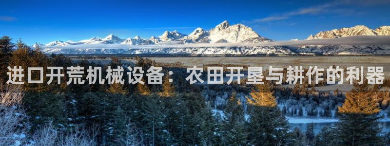杏盛主管：进口开荒机械设备：农田开垦与耕作的利器