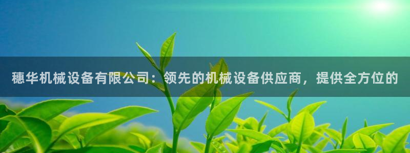 杏盛平台官网：穗华机械设备有限公司：领先的机械设备供应商，提供全方位的
