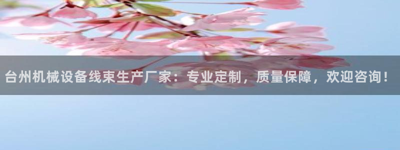 杏盛官方平台：台州机械设备线束生产厂家：