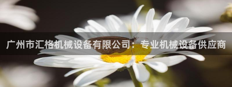 杏盛平台登录地址：广州市汇格机械设备有限