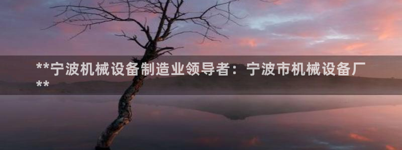 杏盛平台登录地址：**宁波机械设备制造业