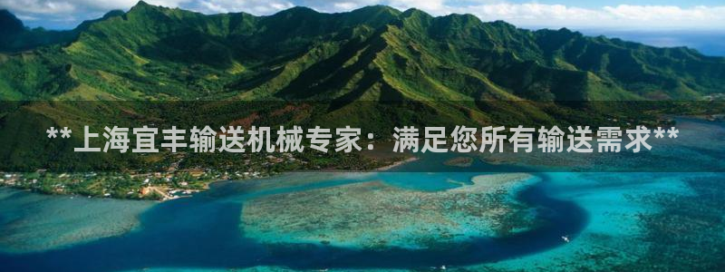杏盛平台上级：**上海宜丰输送机械专家：