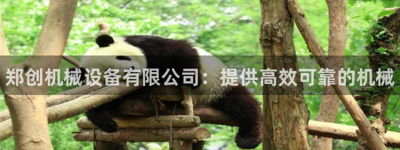 杏盛娱乐代理：郑创机械设备有限公司：提供