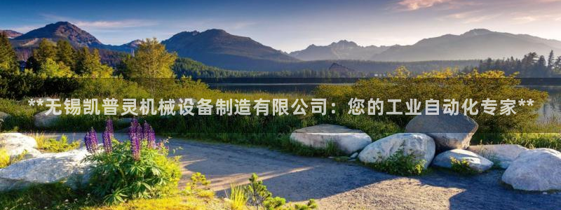 杏盛平台登陆地址：**无锡凯普灵机械设备制造有限公司：您的工业自动化专家**