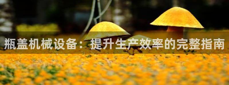 杏盛平台开户 贴吧：瓶盖机械设备：提升生